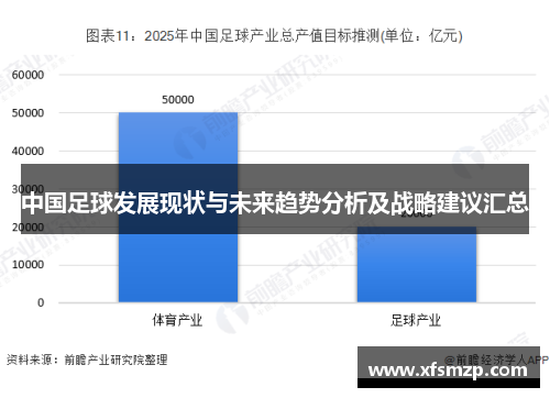 中国足球发展现状与未来趋势分析及战略建议汇总